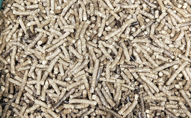 生物質燃料