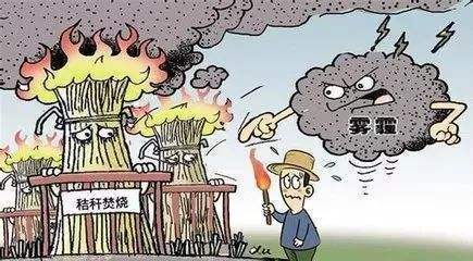 秸稈焚燒導致霧霾