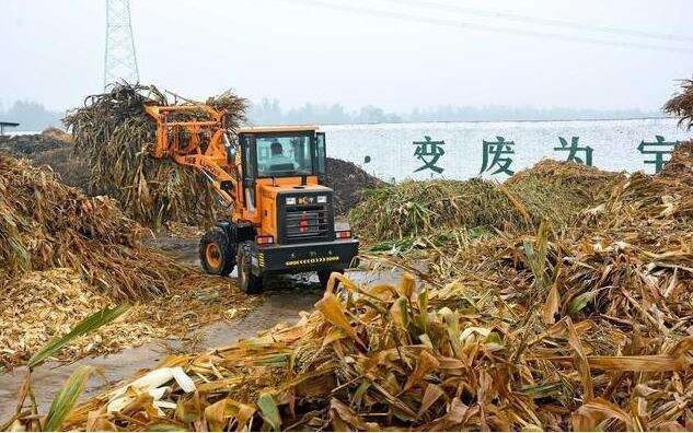 黑土地上的‘秸稈經紀人’要讓秸稈牛起來，變成‘寶’