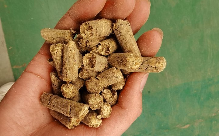 秸稈飼料顆粒機提高秸稈利用率，飼料顆粒機是以玉米、豆粕、秸稈、草、稻殼等為原料，通過粉碎原料后直接壓制成顆粒的飼料加工機械。